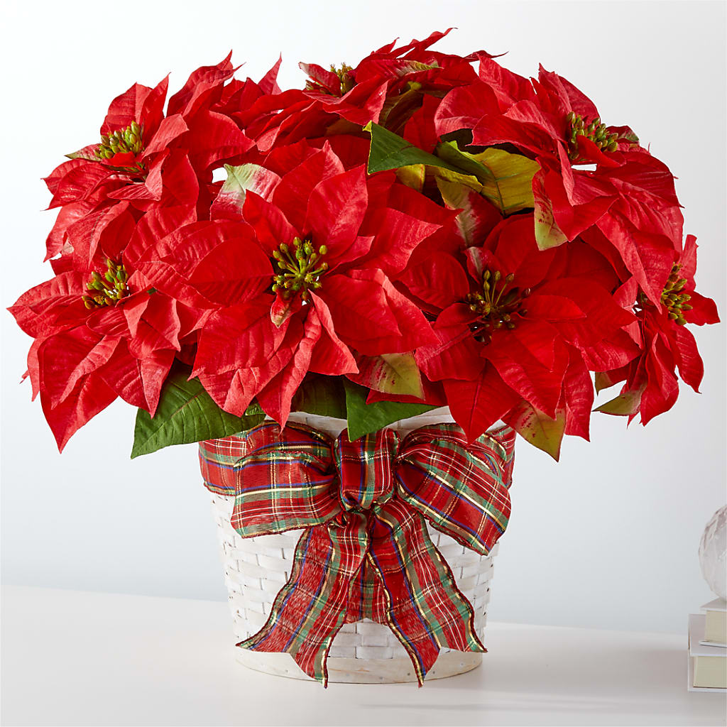 Happiest Holidays Poinsettia – Mt Scott Blooms By Maru, Portland OR