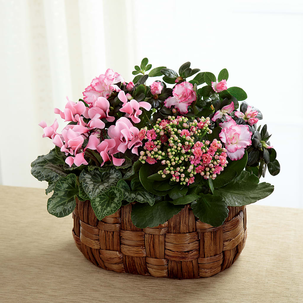 Pink Assortment – Mt Scott Blooms By Maru, Portland OR