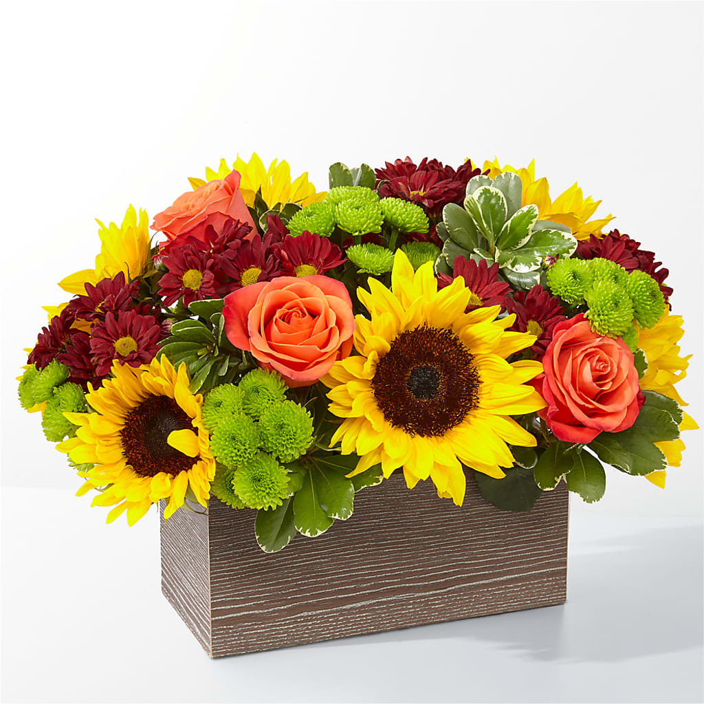 Happy Harvest Garden – Mt Scott Blooms By Maru, Portland OR