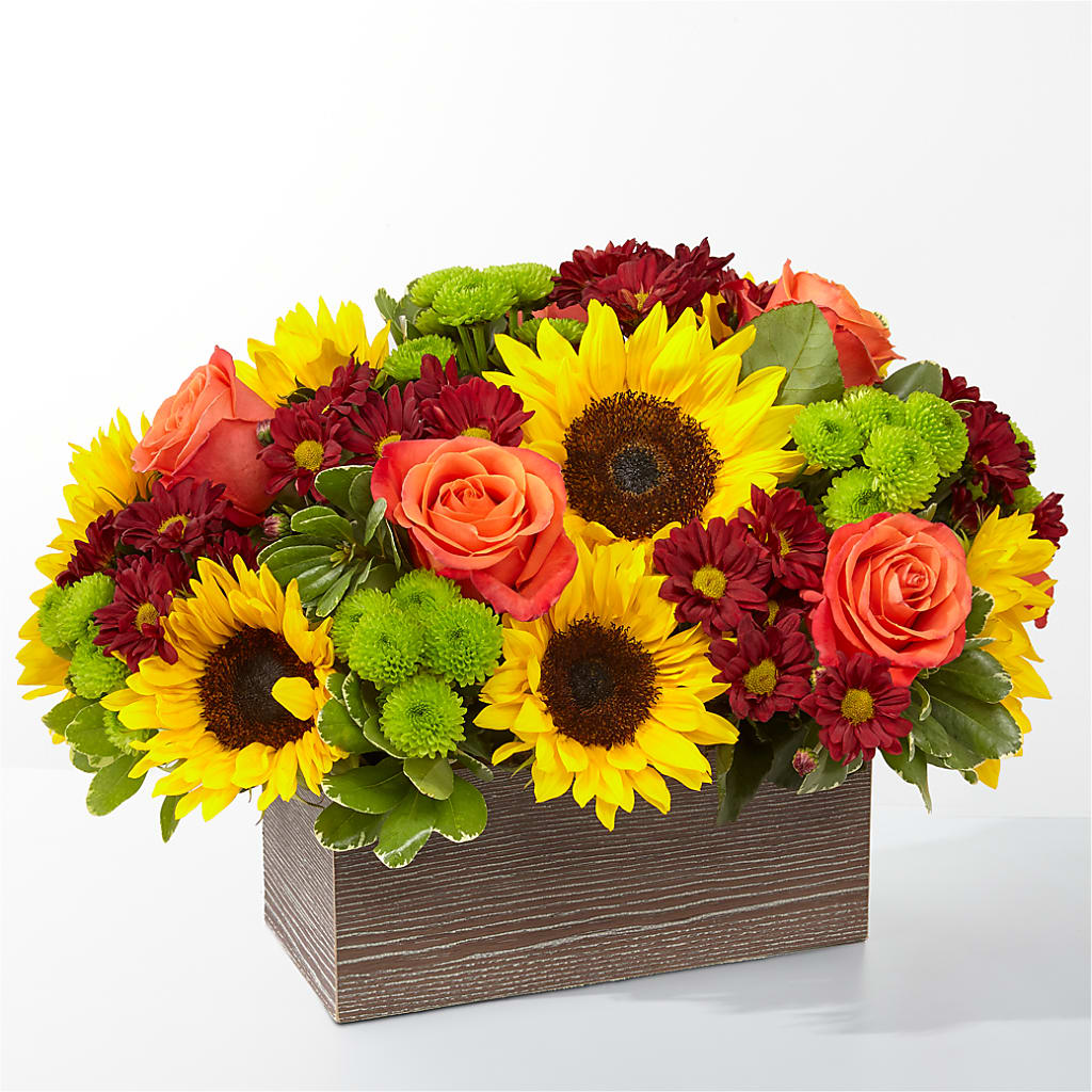 Happy Harvest Garden – Mt Scott Blooms By Maru, Portland OR