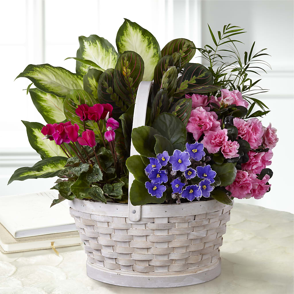 Peaceful Garden Planter – Mt Scott Blooms By Maru, Portland OR