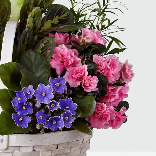 Peaceful Garden Planter – Mt Scott Blooms By Maru, Portland OR
