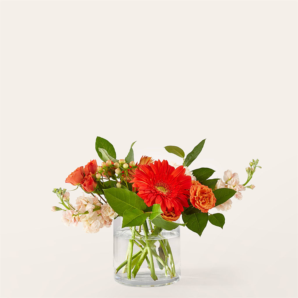 Paloma Please Bouquet – Mt Scott Blooms By Maru, Portland OR
