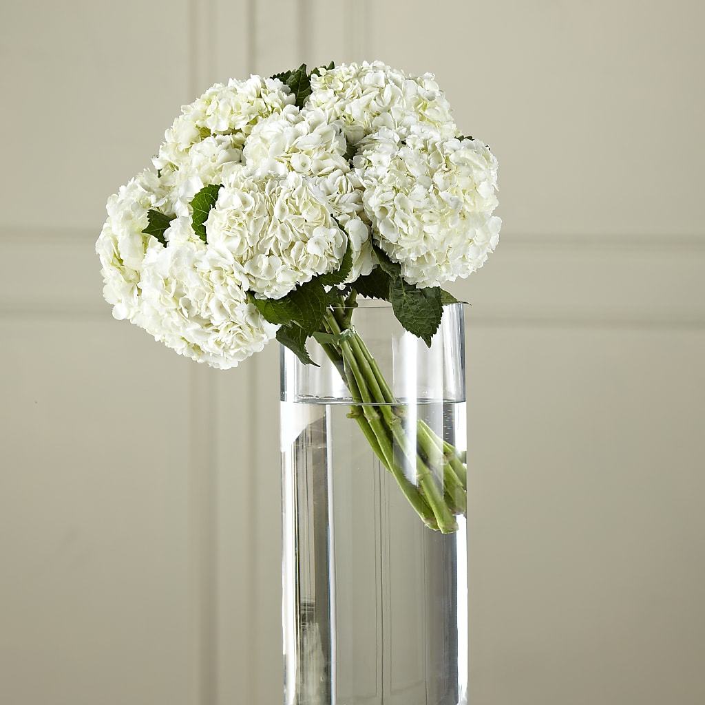 White Hydrangea Hand-Tied Bouquet – Mt Scott Blooms By Maru, Portland OR