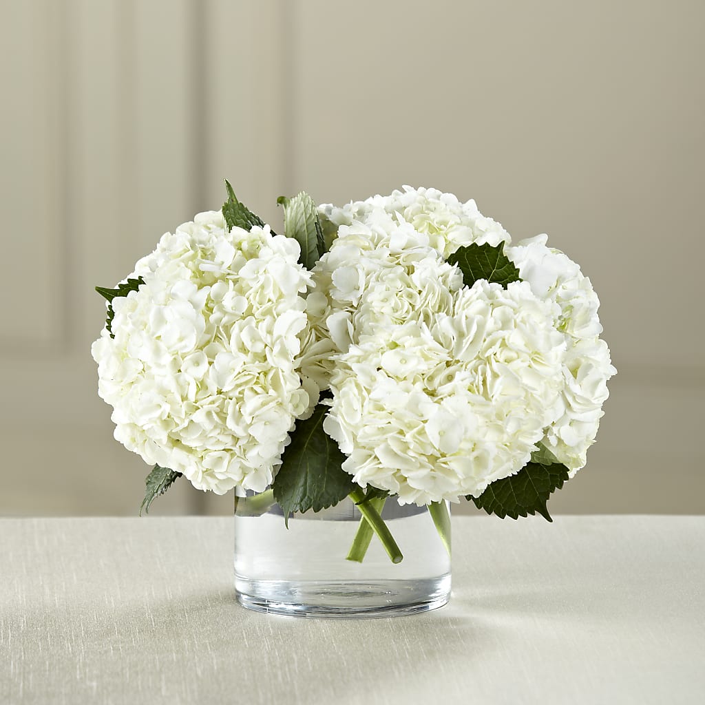 White Hydrangea Bouquet – Mt Scott Blooms By Maru, Portland OR