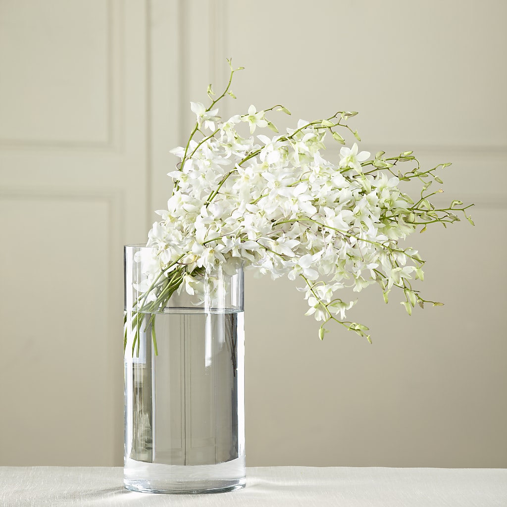 White Dendrobium Bouquet – Mt Scott Blooms By Maru, Portland OR