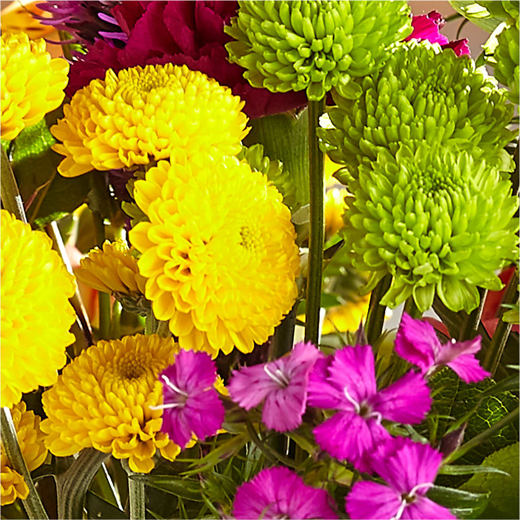Bold & Bright – A Florist Original –  Mt Scott Blooms By Maru, Portland OR