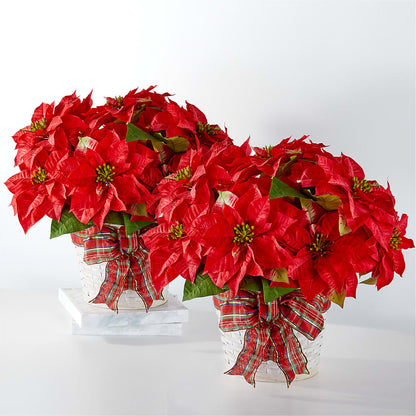 Happiest Holidays Poinsettia Bundle –  Mt Scott Blooms By Maru, Portland OR