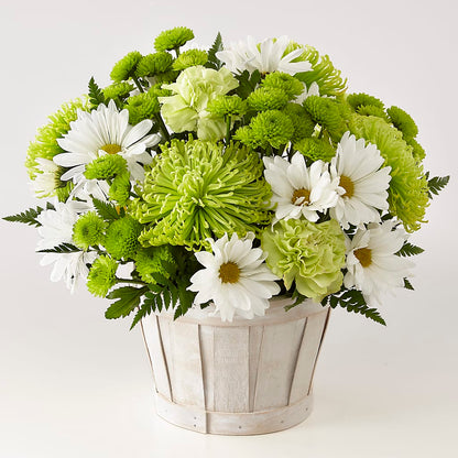 Lucky Charm Basket (Standard) –  Mt Scott Blooms By Maru, Portland OR