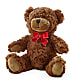 Adorable Plush Bear –  Mt Scott Blooms By Maru, Portland OR