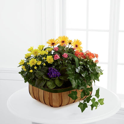 Gentle Blossoms Basket –  Mt Scott Blooms By Maru, Portland OR