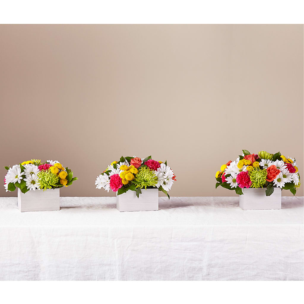 Sorbet Bouquet –  Mt Scott Blooms By Maru, Portland OR