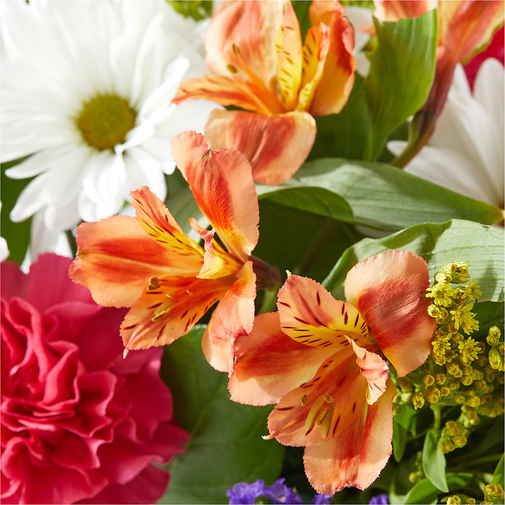 Oopsie Daisy Box Bouquet –  Mt Scott Blooms By Maru, Portland OR