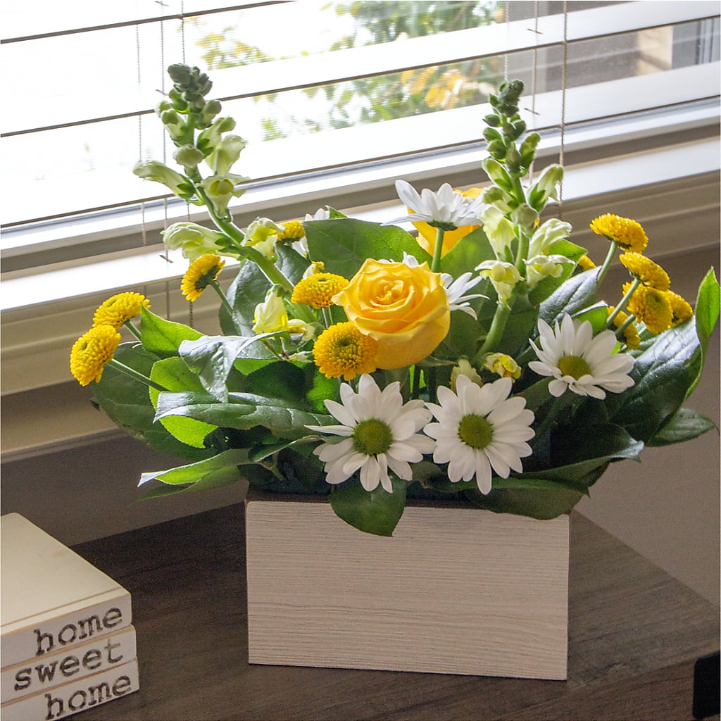 Sun Salutation Box Bouquet –  Mt Scott Blooms By Maru, Portland OR