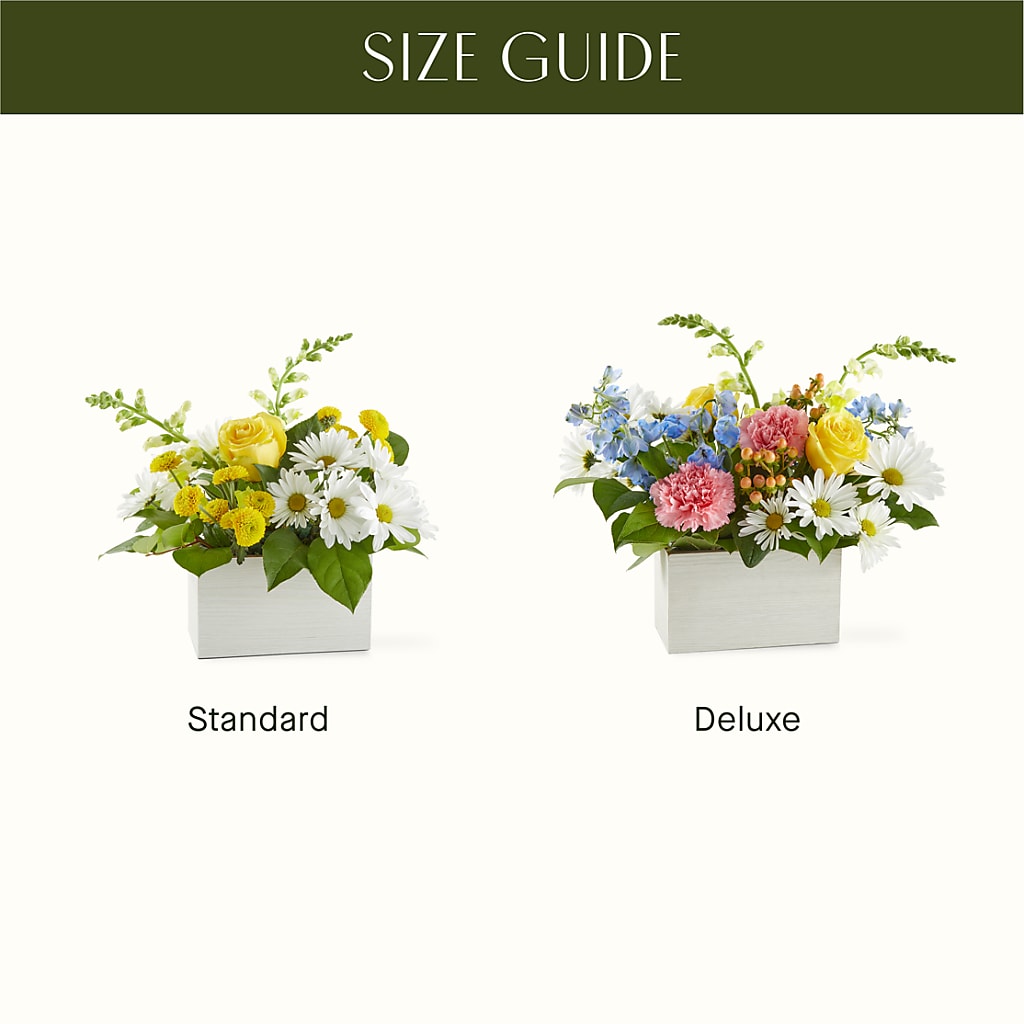 Sun Salutation Box Bouquet –  Mt Scott Blooms By Maru, Portland OR