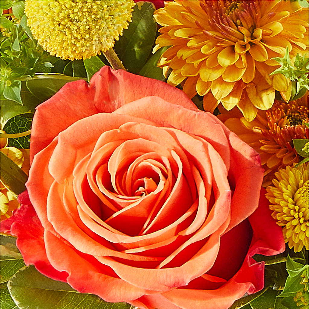 Gourdgeous Pumpkin –  Mt Scott Blooms By Maru, Portland OR