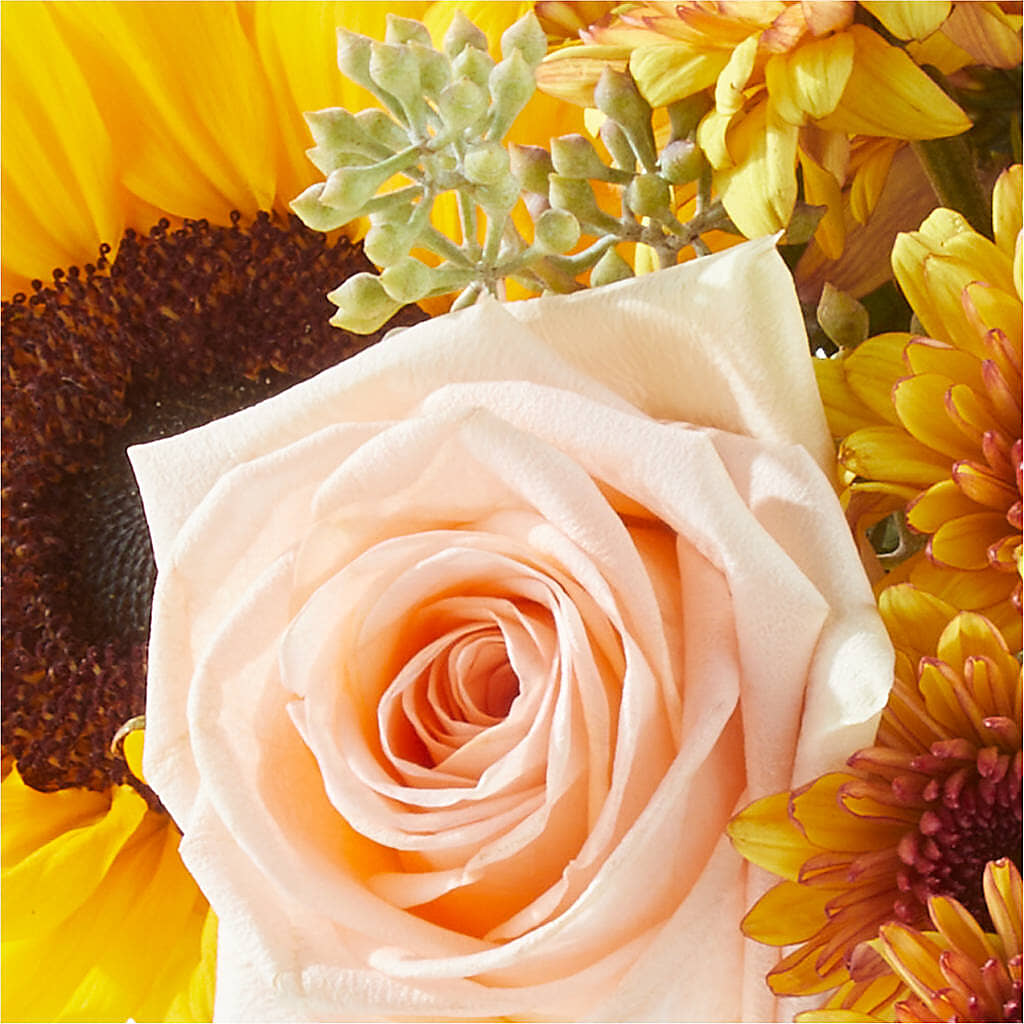 Pumpkin to Talk About Bouquet –  Mt Scott Blooms By Maru, Portland OR