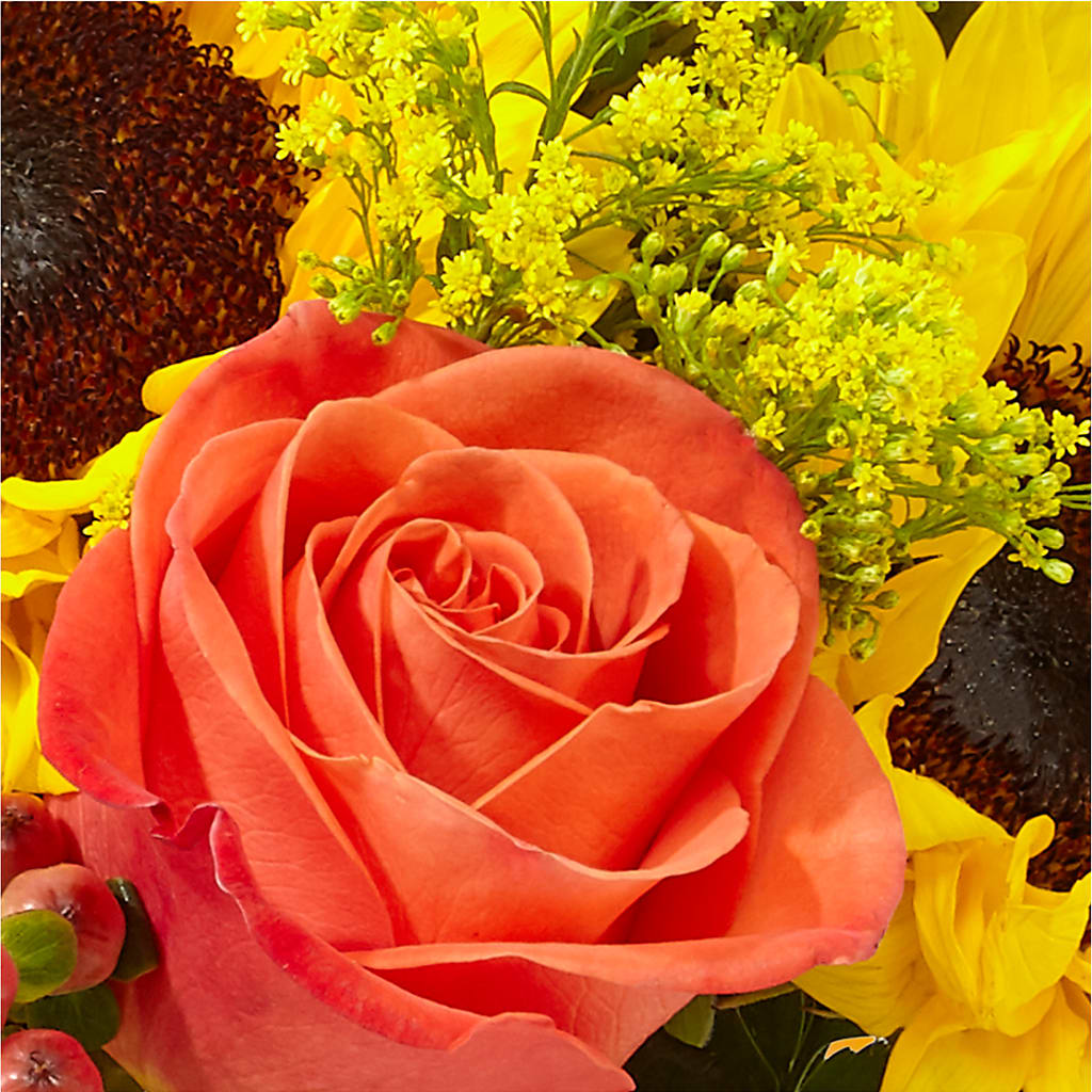 Pick of the Patch Pumpkin Bouquet –  Mt Scott Blooms By Maru, Portland OR