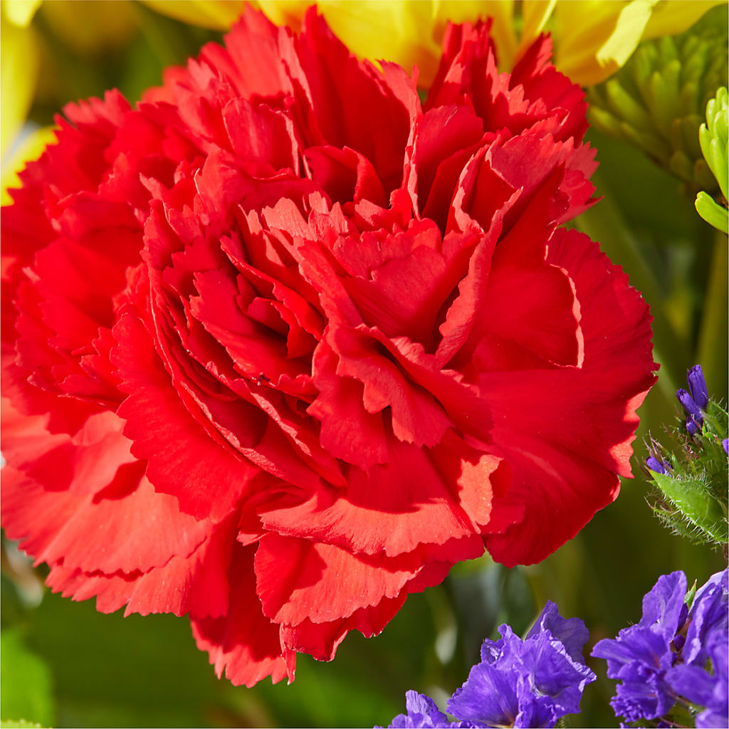 Brighter Days Bouquet –  Mt Scott Blooms By Maru, Portland OR