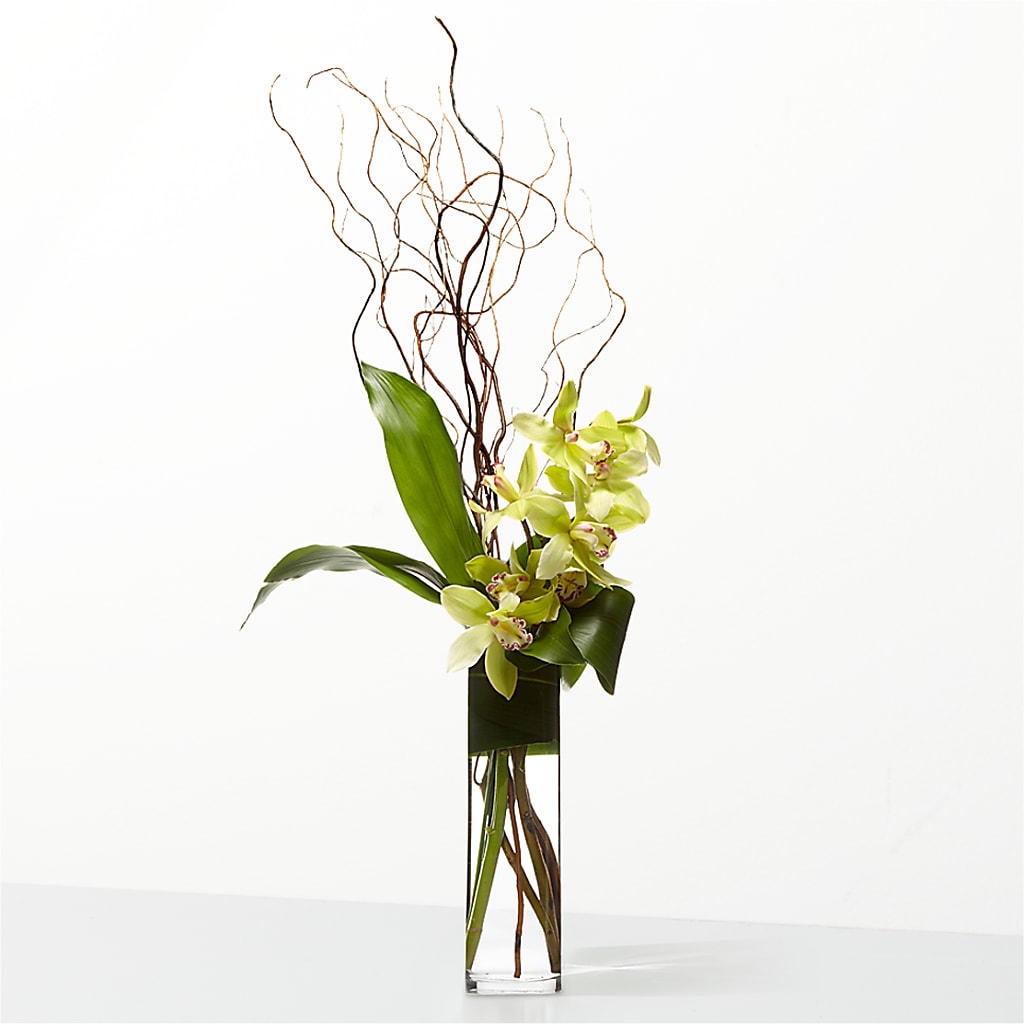 The Statement –  Mt Scott Blooms By Maru, Portland OR
