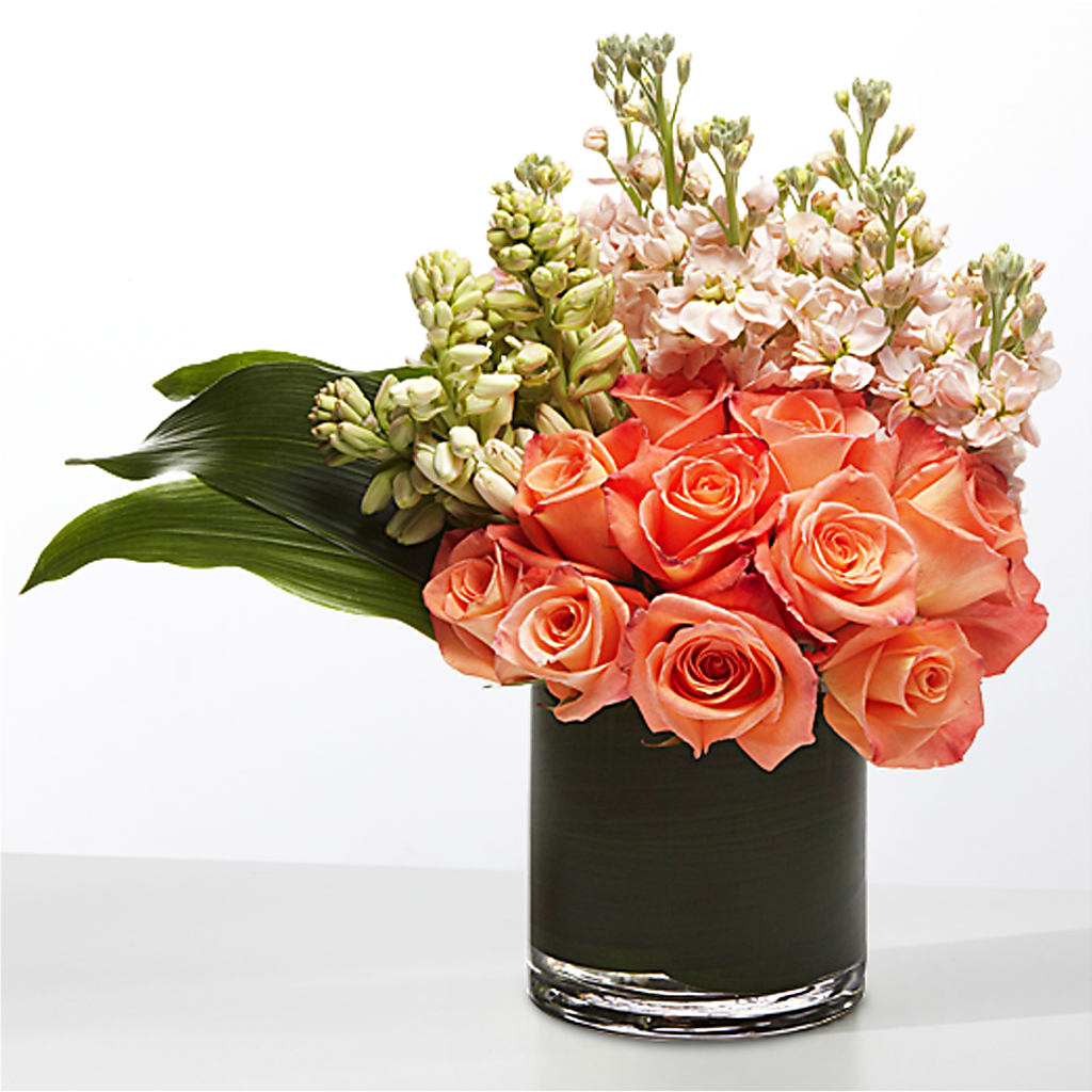 The Moment –  Mt Scott Blooms By Maru, Portland OR