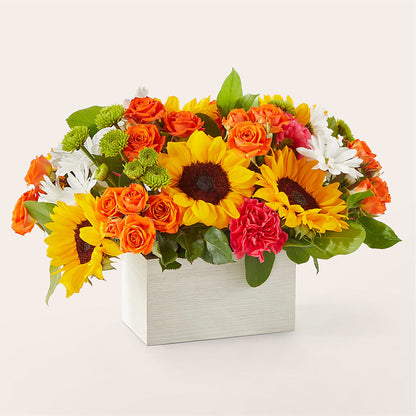 Sun-drenched Blooms Box Bouquet –  Mt Scott Blooms By Maru, Portland OR