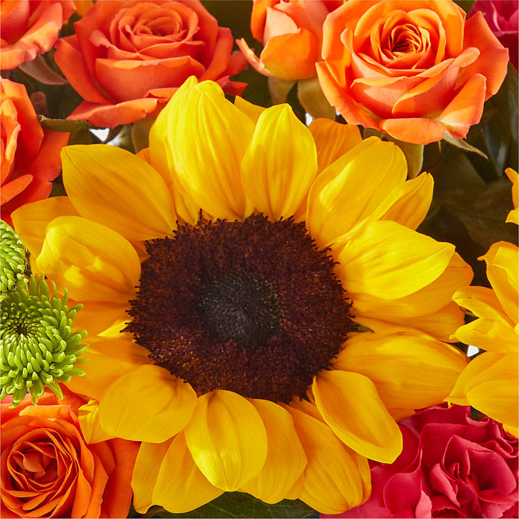 Sun-drenched Blooms Box Bouquet –  Mt Scott Blooms By Maru, Portland OR