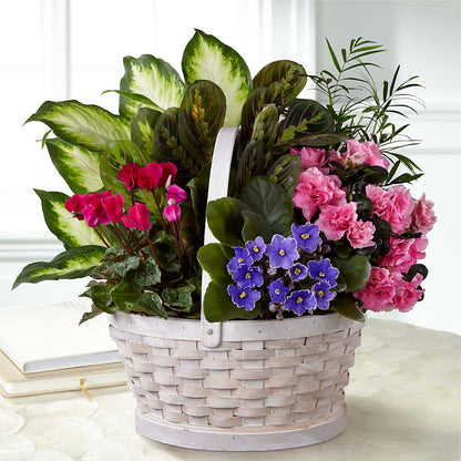 Peaceful Garden Planter –  Mt Scott Blooms By Maru, Portland OR