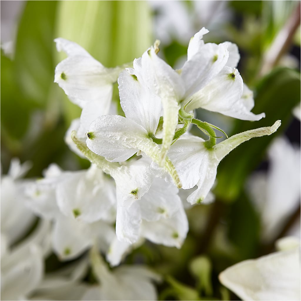 Classic Ivory – A Florist Original –  Mt Scott Blooms By Maru, Portland OR