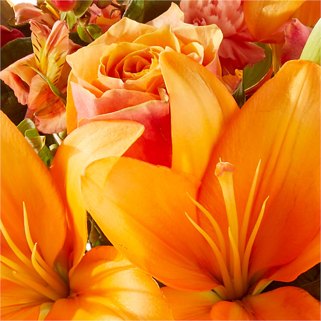 Afternoon Light Bouquet –  Mt Scott Blooms By Maru, Portland OR