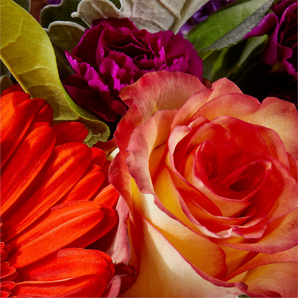 Sangria Bouquet –  Mt Scott Blooms By Maru, Portland OR