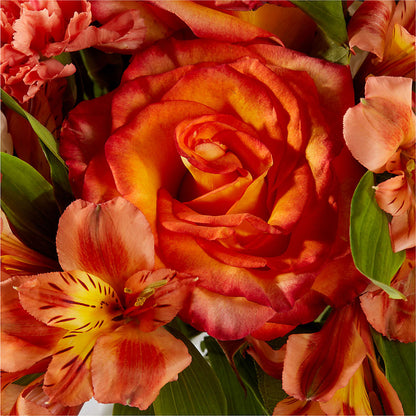 Apricot Glow Bouquet –  Mt Scott Blooms By Maru, Portland OR