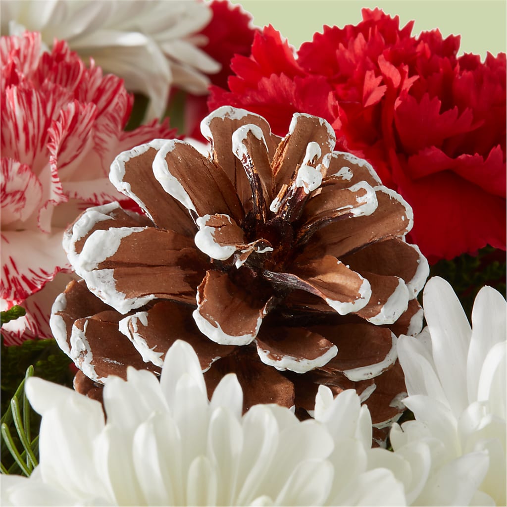 Candy Cane Lane Bouquet –  Mt Scott Blooms By Maru, Portland OR