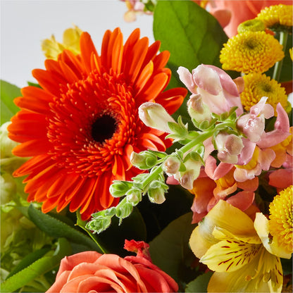 Autumn Sunshine Bouquet –  Mt Scott Blooms By Maru, Portland OR