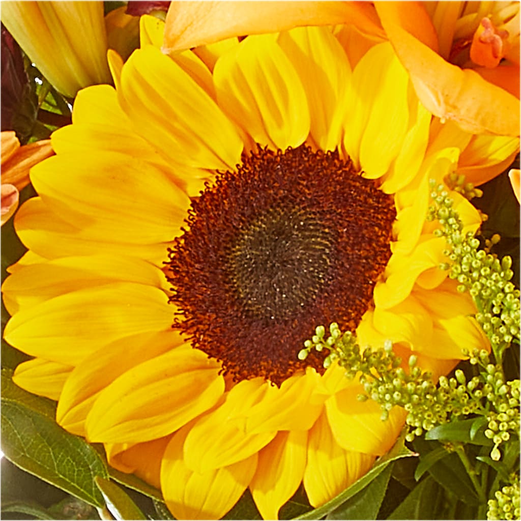 Seasons Change Bouquet –  Mt Scott Blooms By Maru, Portland OR