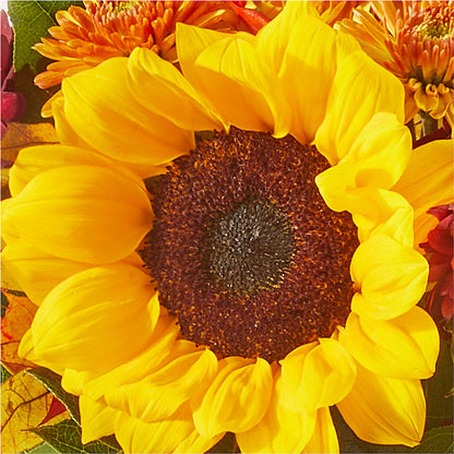 Sunny Side Bouquet –  Mt Scott Blooms By Maru, Portland OR