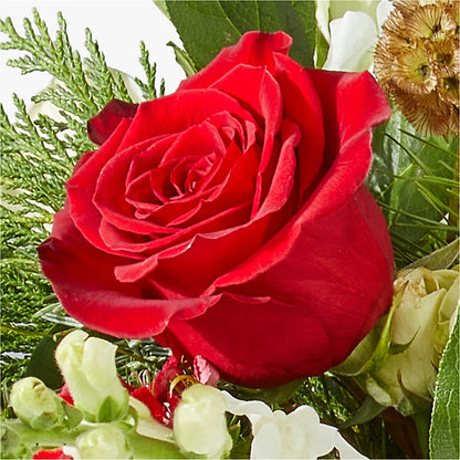 Deck the Halls Bouquet –  Mt Scott Blooms By Maru, Portland OR