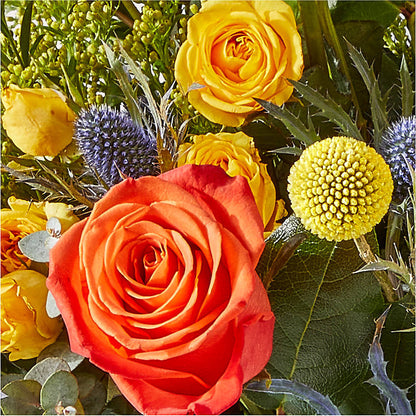 Disco Bouquet –  Mt Scott Blooms By Maru, Portland OR