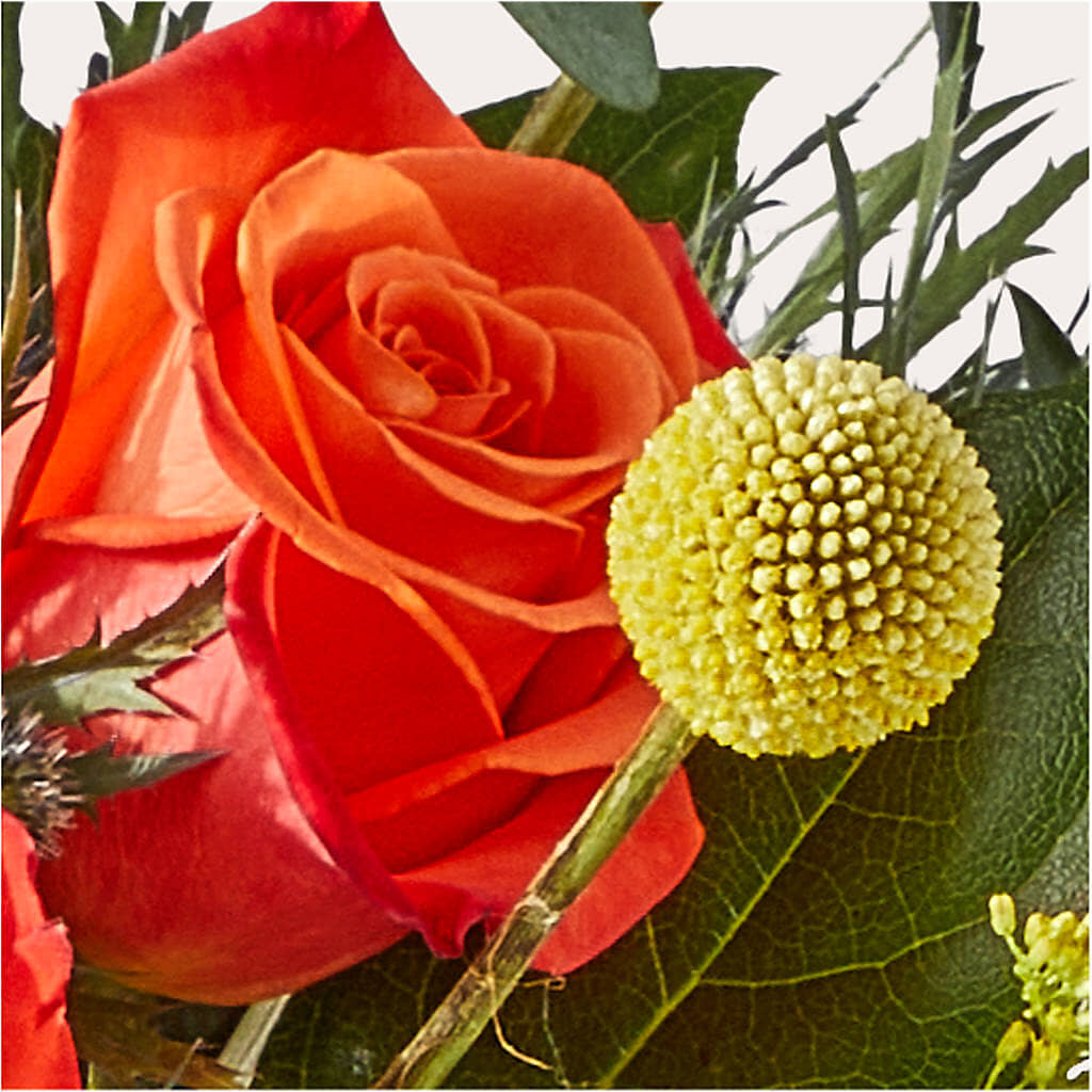 Disco Bouquet –  Mt Scott Blooms By Maru, Portland OR