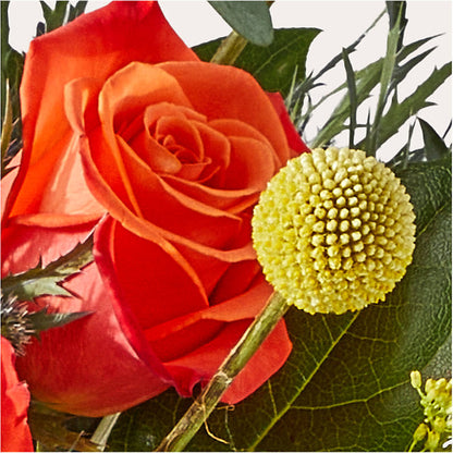Disco Bouquet –  Mt Scott Blooms By Maru, Portland OR