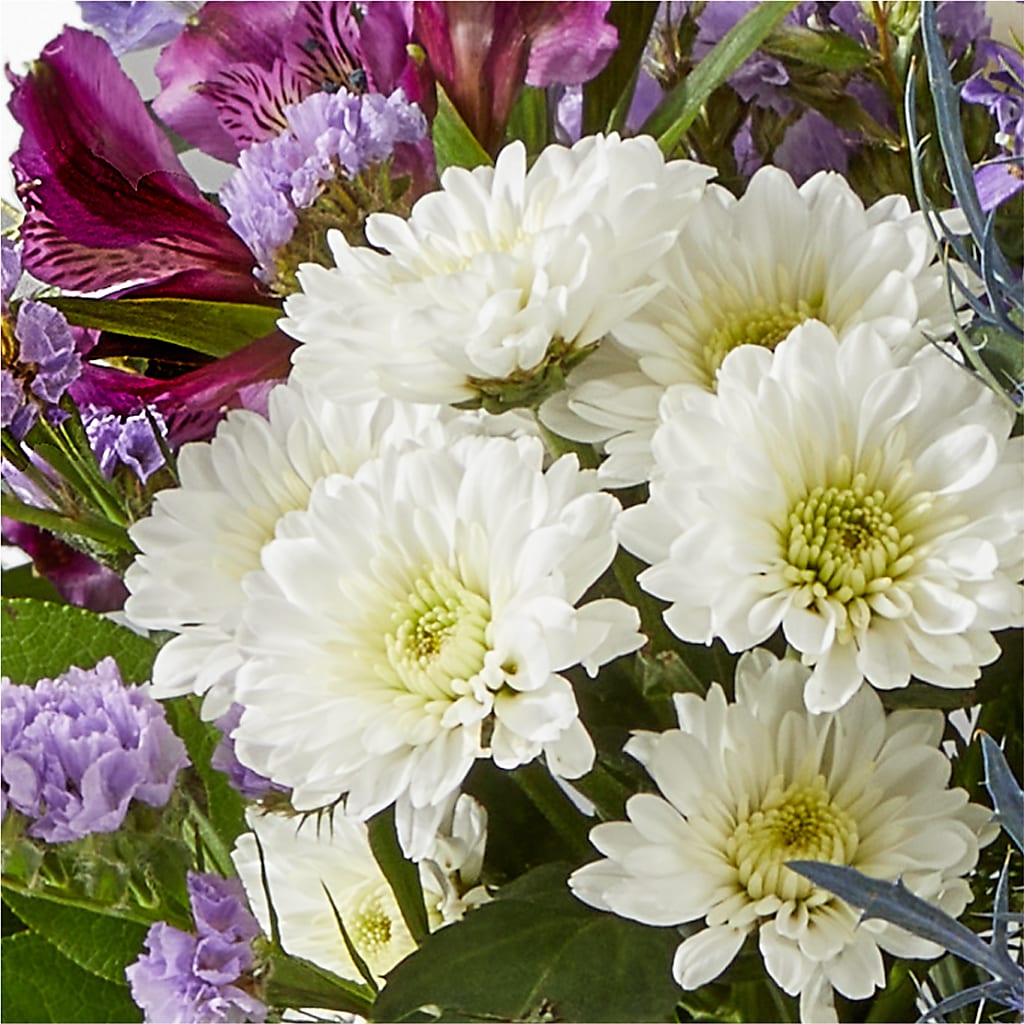 Shooting Star Bouquet –  Mt Scott Blooms By Maru, Portland OR