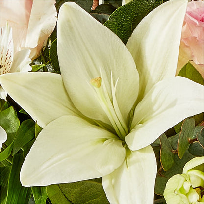 Ballet Slippers Bouquet –  Mt Scott Blooms By Maru, Portland OR
