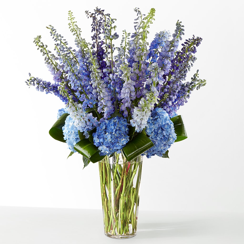 The Editorial –  Mt Scott Blooms By Maru, Portland OR