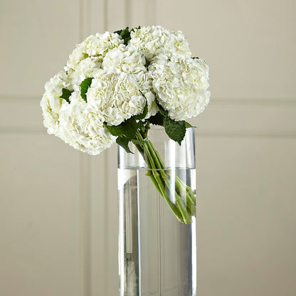 White Hydrangea Hand-Tied Bouquet –  Mt Scott Blooms By Maru, Portland OR